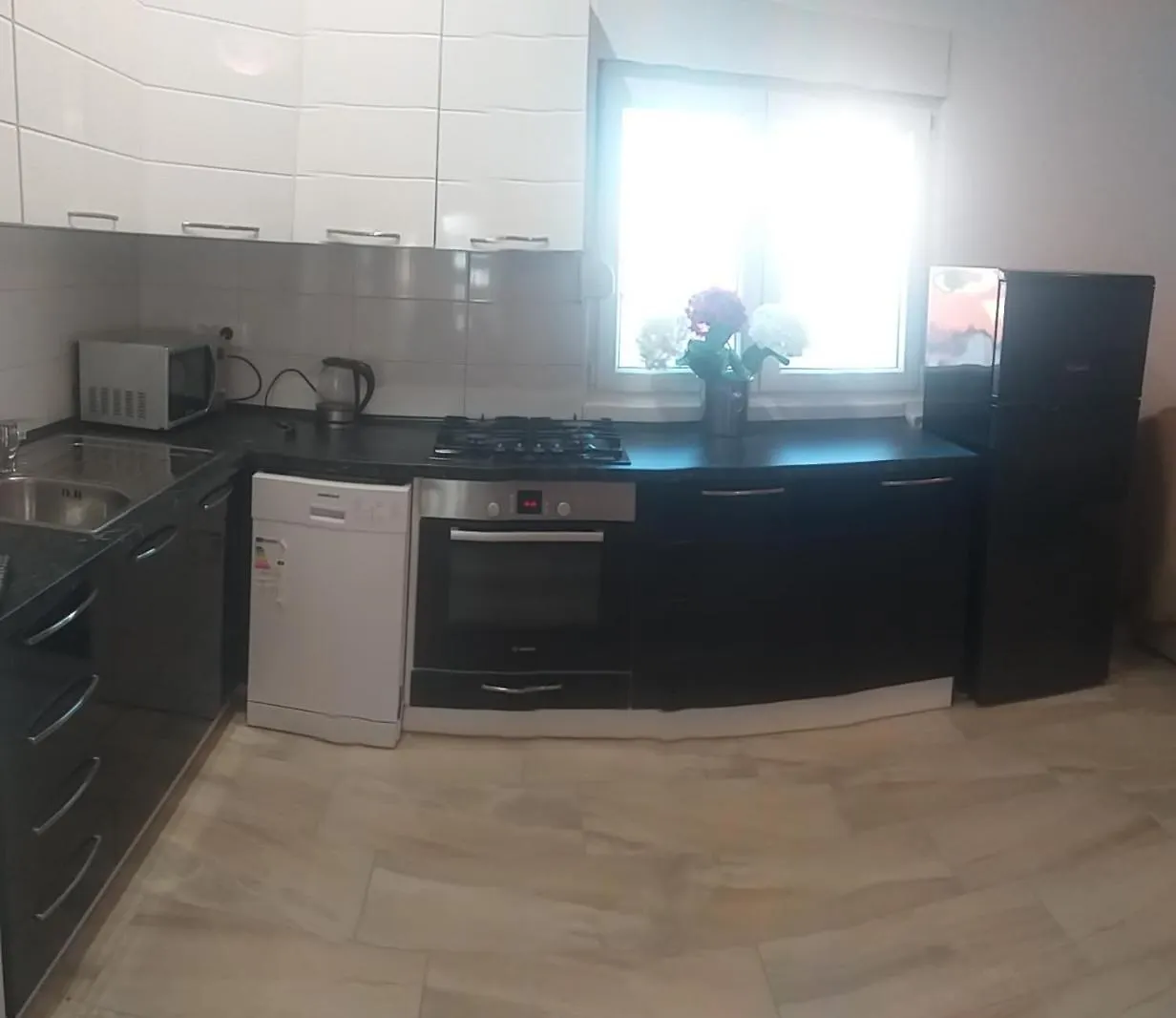 Apartment Dvorak Vir